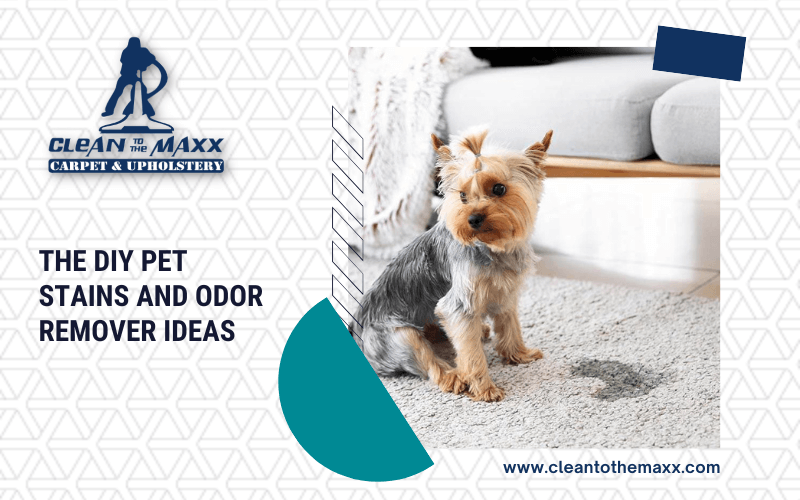 The-DIY-Pet-Stains-And-Odor-Remover-Ideas-
